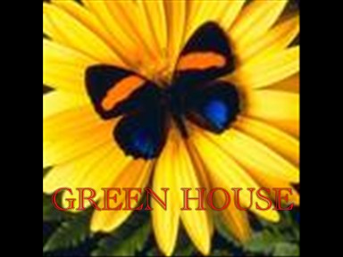 green-house